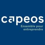 CAPEOS SOLUTIONS