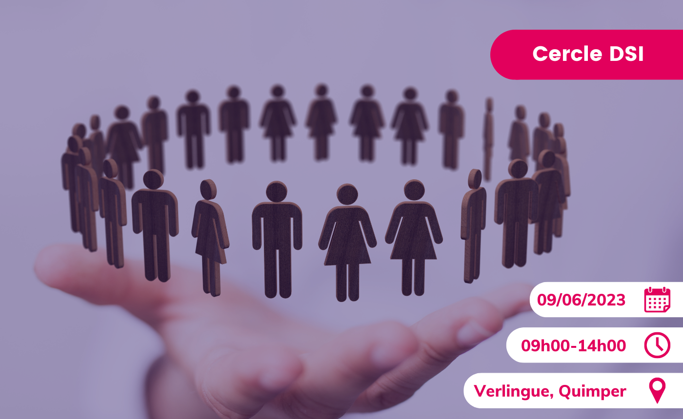 Cercle des DSI 29