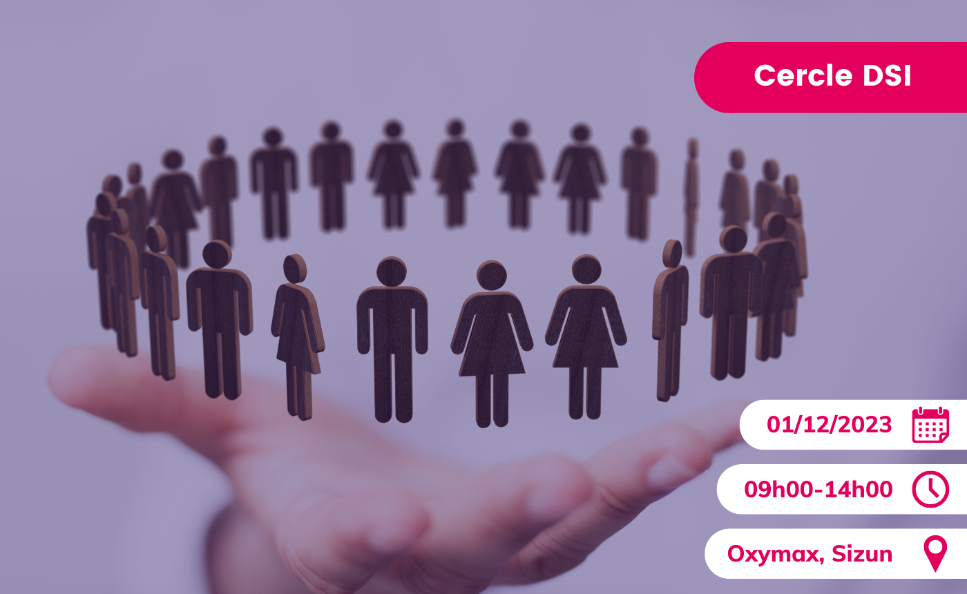 Cercle des DSI 29
