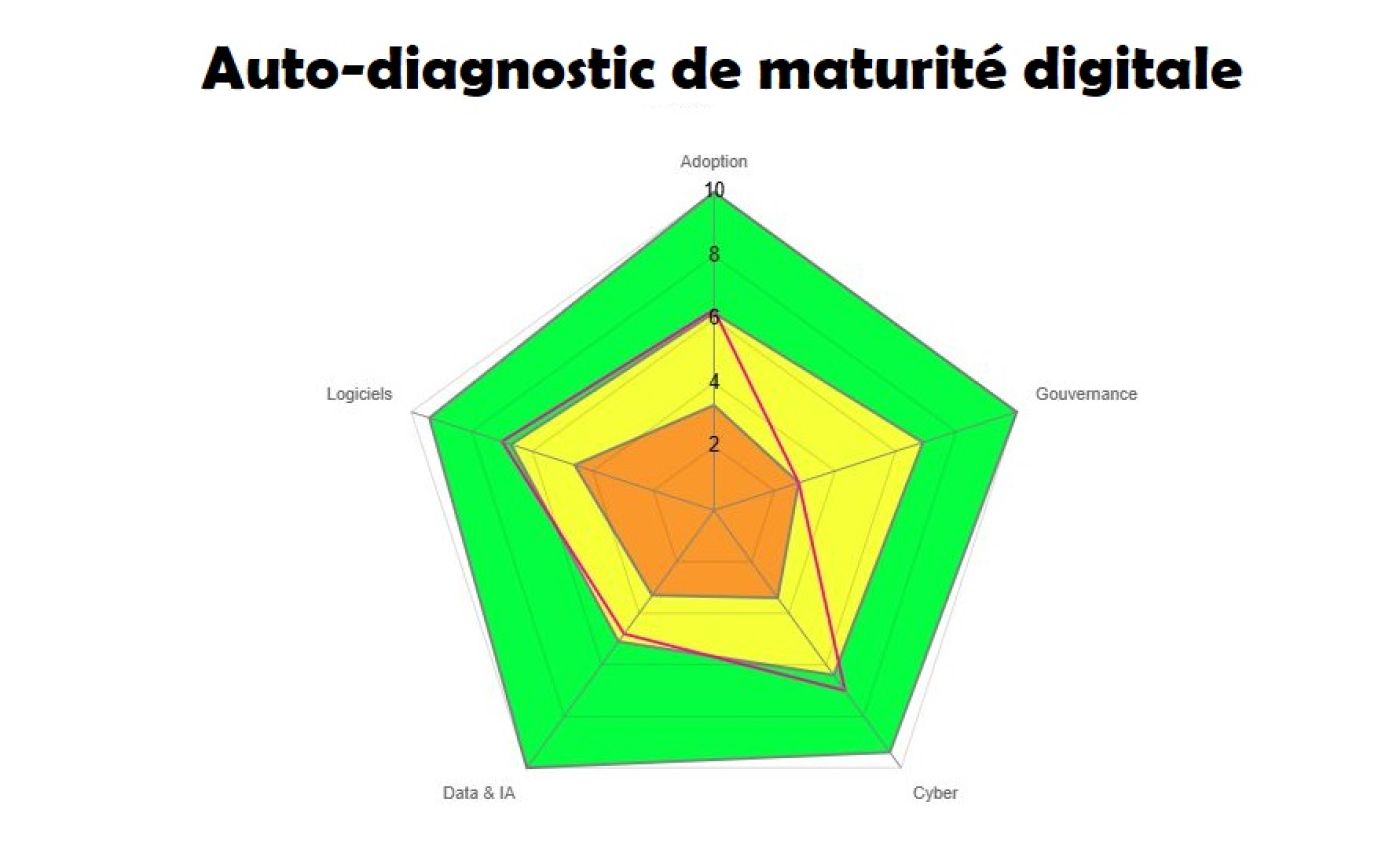 Score de maturité numérique