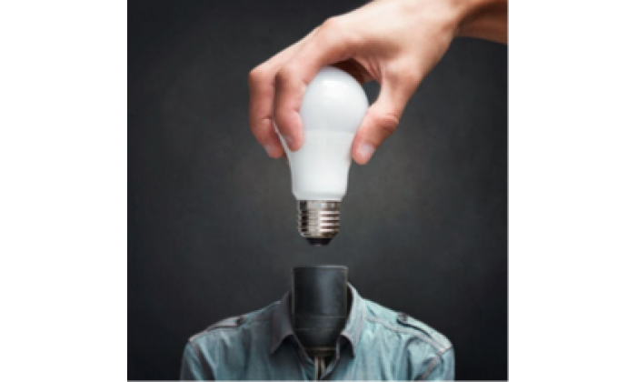 Les nouvelles formes de management