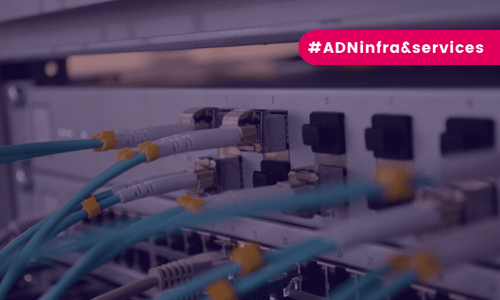 Webinaire ADN Ouest ADN infra&services