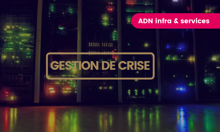 Infrastructures numeriques face a la gestion de crise