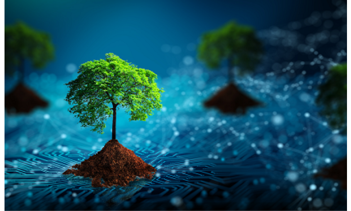 ADN Numerique Responsable impact environnemental du numerique