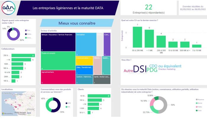 Maturite Data des entreprises