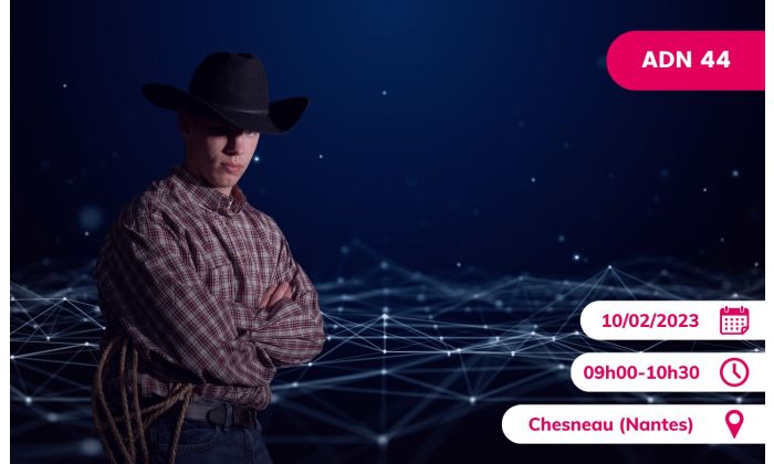 Le Numerique Hors la loi (ou pas...) Episode 1 : les obligations essentielles du contrat de developpement logiciel