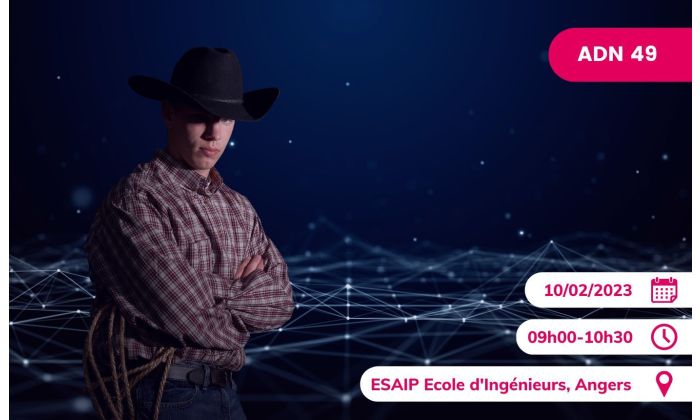 Le Numerique Hors la loi (ou pas...)