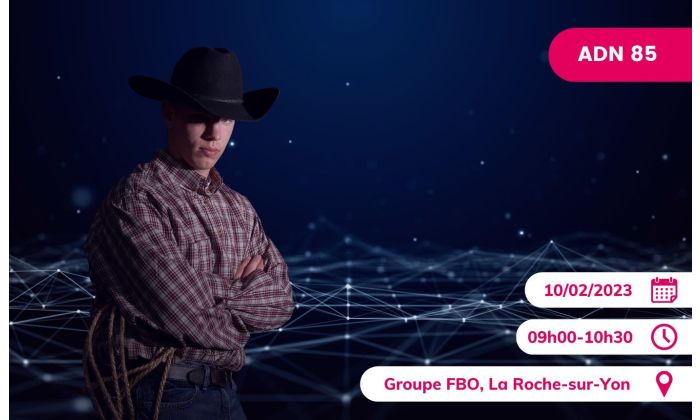 Le Numerique Hors la loi (ou pas...)