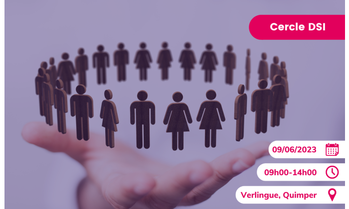 Cercle des DSI 29