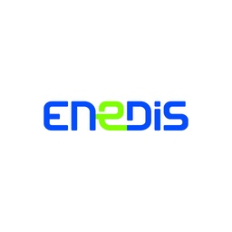 ENEDIS Direction Régionale Pays de la Loire