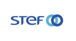 STEF INFORMATION & TECHNOLOGIES