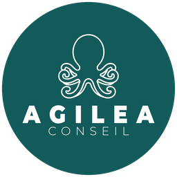 Agilea Conseil