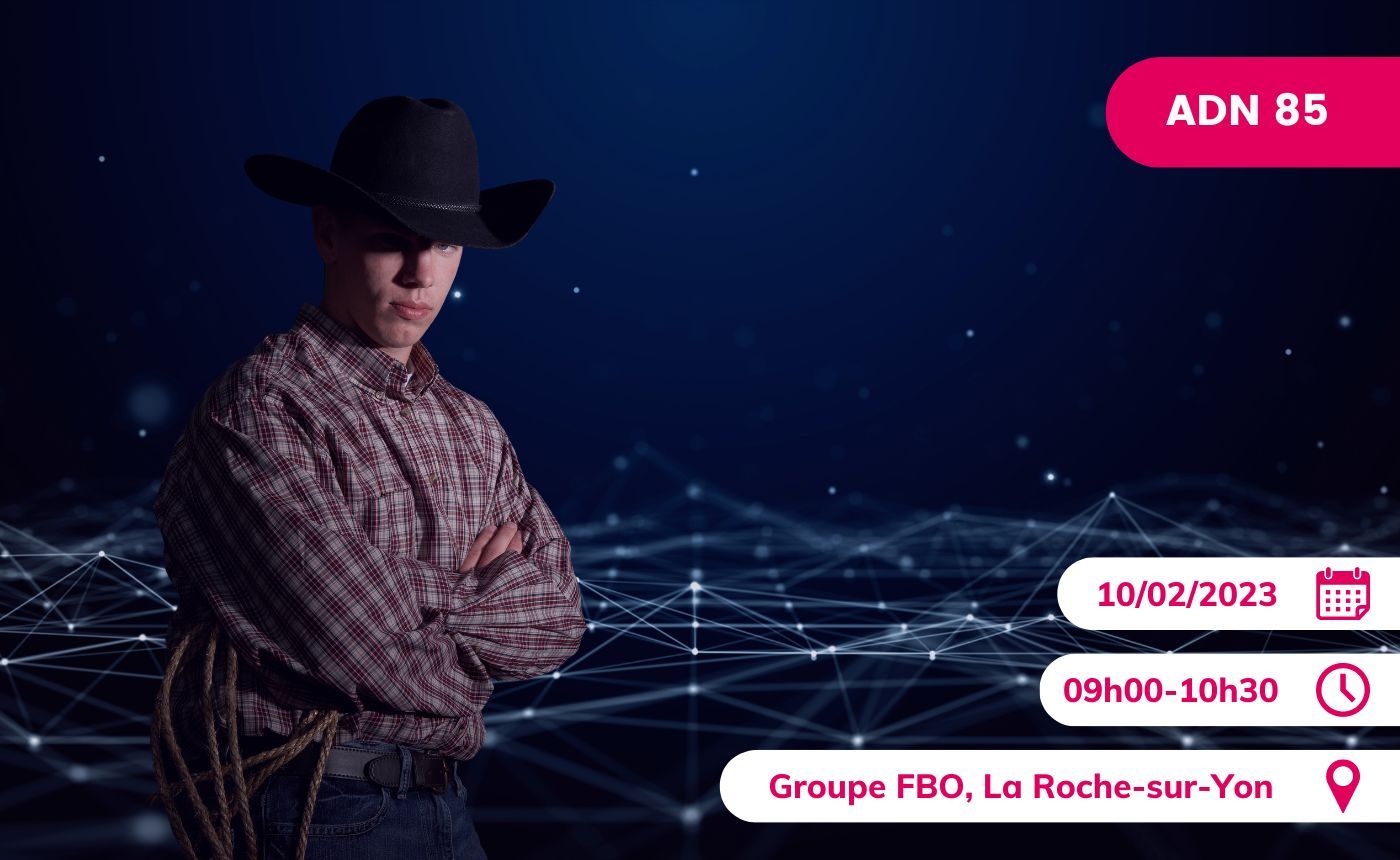 Le Numérique Hors la loi (ou pas...)