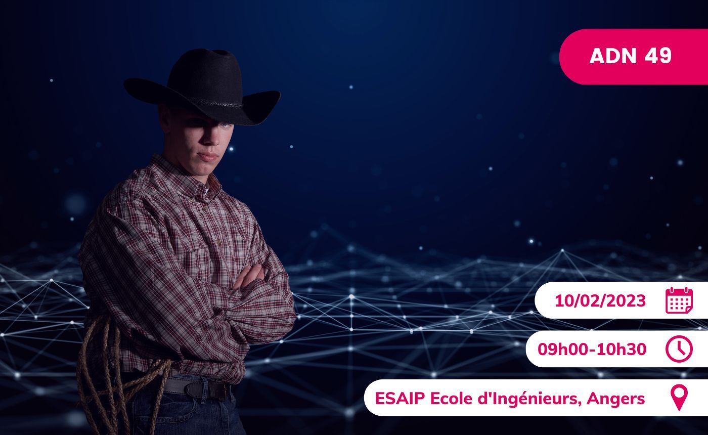 Le Numérique Hors la loi (ou pas...) Épisode 1 : les obligations essentielles du contrat de développement logiciel