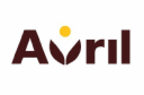 AVRIL SERVICES