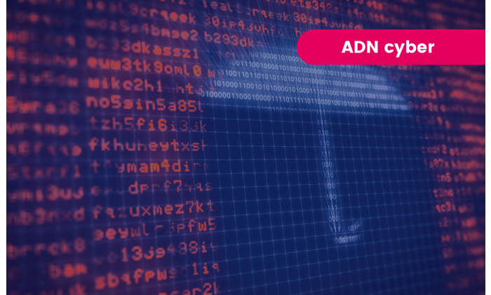 Assurance cyber : pourquoi et comment ?